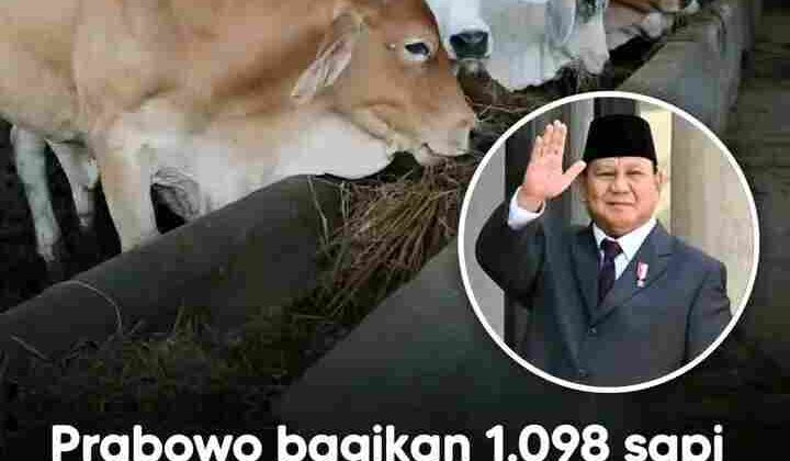 Prabowo Salurkan 1.098 Sapi Kurban dari APBN Senilai Rp100 Miliar, Publik Soroti: “Itu Uang Pajak Rakyat”