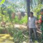 Babinsa Koramil 1008-05/Kelua–Muara Harus Dampingi Pembudidaya Ikan Patin di Desa Sei Buluh Babinsa Koramil 1008-05/Kelua–Muara Harus Dampingi Pembudidaya Ikan Patin di Desa Sei Buluh