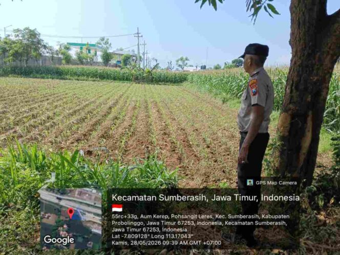 
Tak Sekadar Seragam, Polisi di Probolinggo Kota Kini Aktif Jaga Ketahanan Pangan Nasional