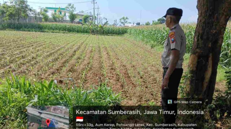 Tak Sekadar Seragam, Polisi di Probolinggo Kota Kini Aktif Jaga Ketahanan Pangan Nasional
