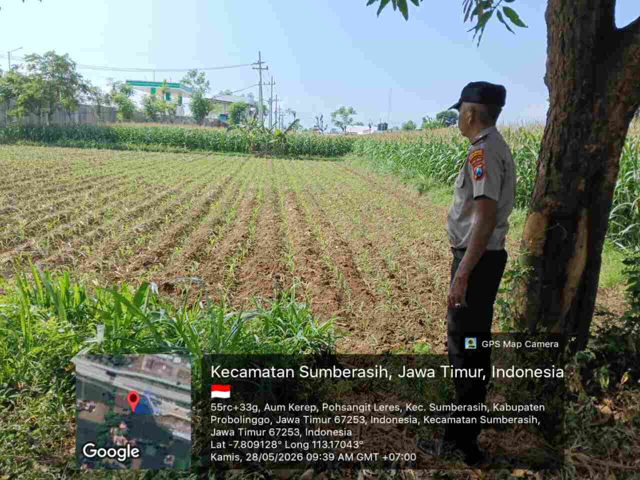 Tak Sekadar Seragam, Polisi di Probolinggo Kota Kini Aktif Jaga Ketahanan Pangan Nasional