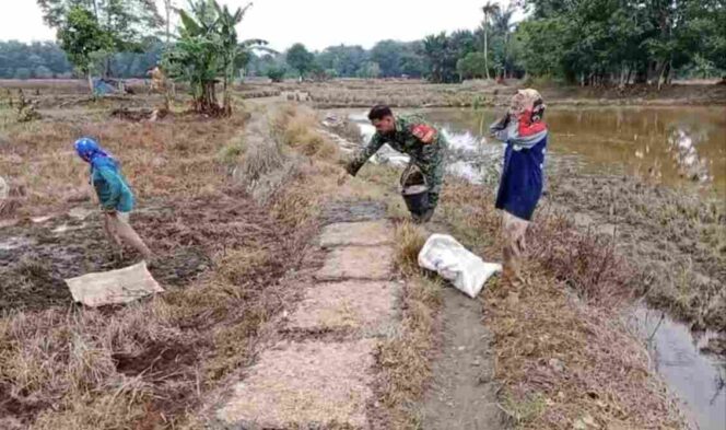 
Babinsa Barabai Perkuat Ketahanan Pangan Lewat Pendampingan Petani