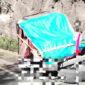 Tragedi Wisata Bromo: Sopir dan Turis Asal Semarang Meregang Nyawa dalam Laka Tunggal
