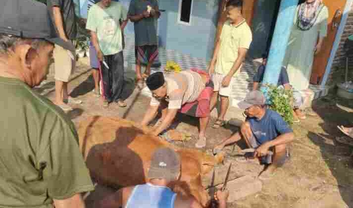 Idul Adha 1447 Hijriyah, Jumlah Pemotongan Ternak Kurban di Kabupaten Probolinggo Capai 3.899 Ekor