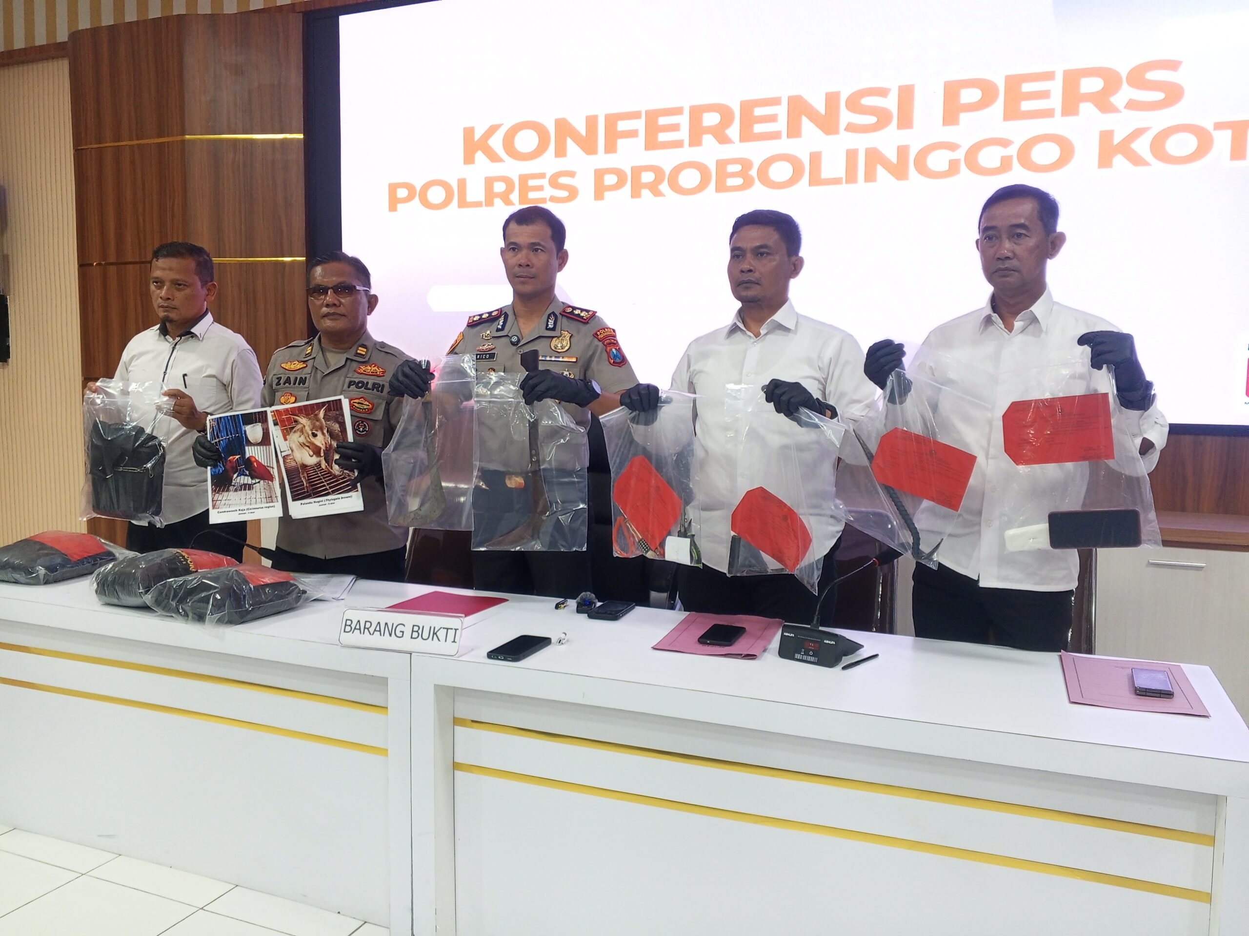 Polres Probolinggo Kota Bongkar Tiga Kejahatan Besar Sekaligus: Sindikat Curanmor dan Sapi, Mafia BBM Subsidi, hingga Penyelundupan Satwa Dilindungi