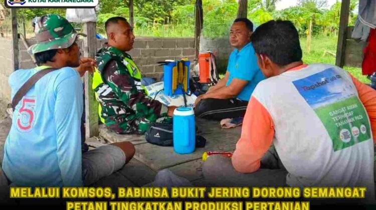 Melalui Komsos, Babinsa Bukit Jering Dorong Semangat Petani Tingkatkan Produksi Pertanian