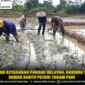 Tingkatkan Ketahanan Pangan Wilayah, Babinsa Turun ke Sawah Bantu Petani Tanam Padi