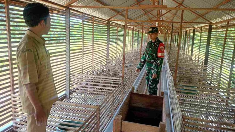 Melalui Komsos, Babinsa Dorong Kemajuan Peternakan Itik Petelur Desa Kasarangan