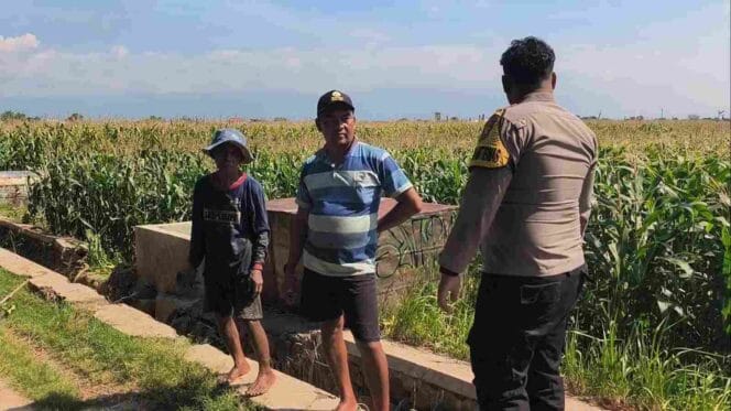 
Polisi Turun ke Lahan Jagung di Ketapang, Perkuat Ketahanan Pangan Nasional