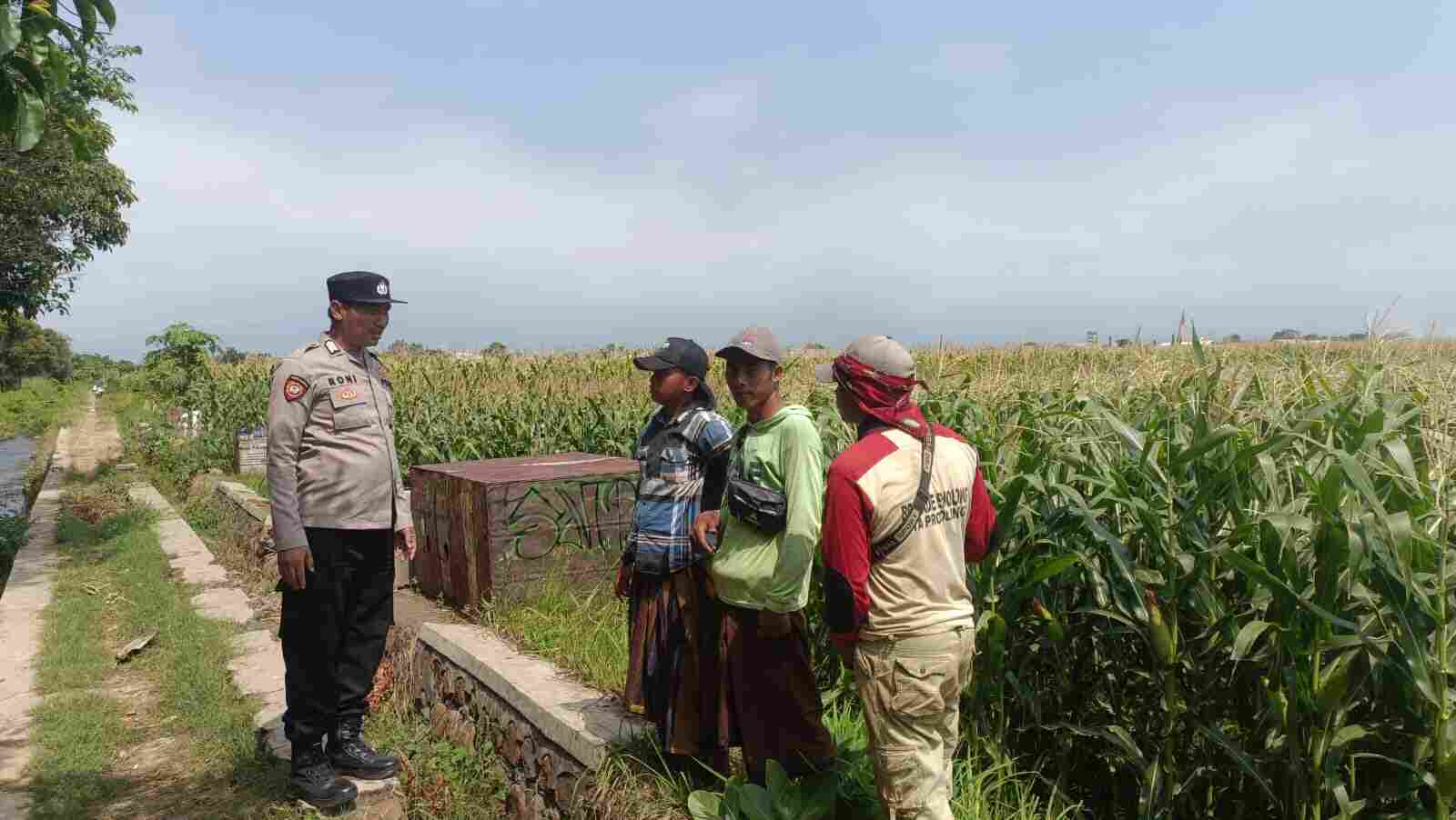 Dukung Swasembada Pangan, Polisi Dampingi Petani Jagung di Triwung Kidul