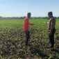 Bhabinkamtibmas Kademangan Turun ke Sawah, Perkuat Ketahanan Pangan dan Ajak Petani Jaga Kamtibmas Bhabinkamtibmas Kademangan Turun ke Sawah, Perkuat Ketahanan Pangan dan Ajak Petani Jaga Kamtibmas