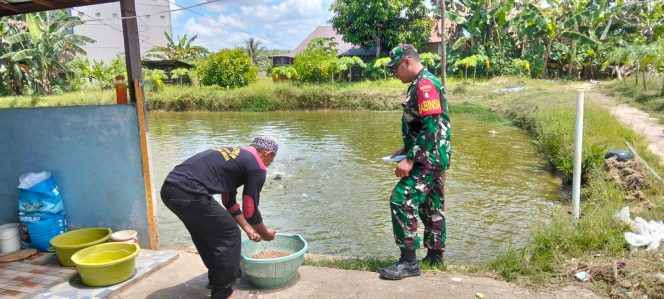 
Babinsa Banua Lawas Dampingi Pembudidaya Ikan Patin, Dorong Produktivitas dan Ketahanan Pangan