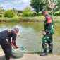 Babinsa Banua Lawas Dampingi Pembudidaya Ikan Patin, Dorong Produktivitas dan Ketahanan Pangan Babinsa Banua Lawas Dampingi Pembudidaya Ikan Patin, Dorong Produktivitas dan Ketahanan Pangan