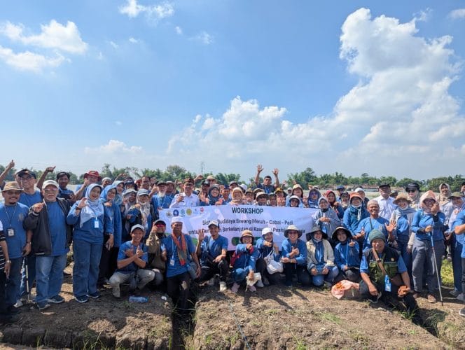 
Diperta Kabupaten Probolinggo Terima Kunjungan Lapang Peserta Workshop Sistem Budidaya Bawang Merah-Cabai-Padi untuk Pertanian Berkelanjutan