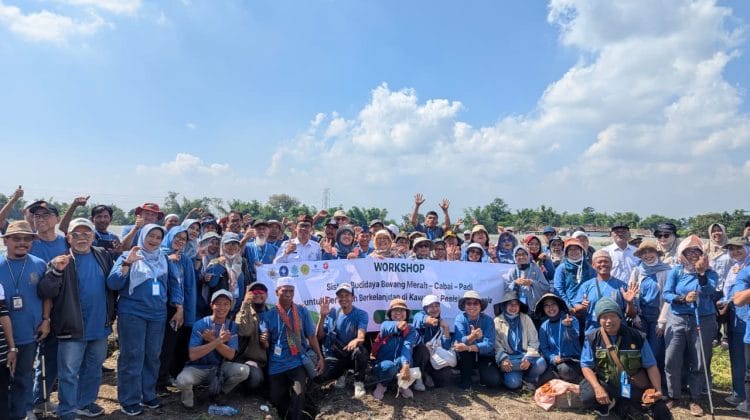 Diperta Kabupaten Probolinggo Terima Kunjungan Lapang Peserta Workshop Sistem Budidaya Bawang Merah-Cabai-Padi untuk Pertanian Berkelanjutan
