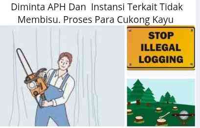 Halo Apa Kabar APH, Dugaan Hutan Mamosalato Dan Bungku Utara Dijarah, Terkesan Adanya Pembiaran. Halo Apa Kabar APH, Dugaan Hutan Mamosalato Dan Bungku Utara Dijarah, Terkesan Adanya Pembiaran.