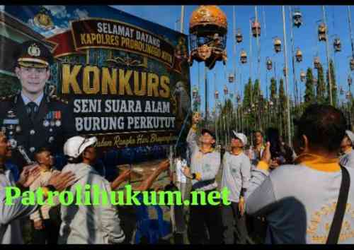Kapolres Probolinggo Kota Cup 2026 Diikuti 300 Peserta, Jadi Ajang Pelestarian Burung Perkutut