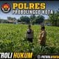 Polisi Dampingi Lahan Jagung Milik Ponpes di Tongas, Perkuat Program Ketahanan Pangan Nasional Polisi Dampingi Lahan Jagung Milik Ponpes di Tongas, Perkuat Program Ketahanan Pangan Nasional
