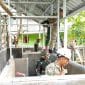 TNI dan Angkatan Bersenjata Malaysia Gelar Latgabma Malindo Darsasa 12AB/2026
