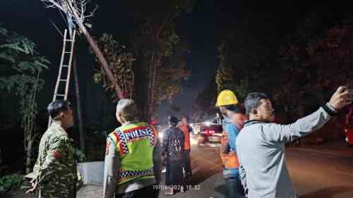 Mengganggu Kabel PLN, Koramil Wonomerto Lakukan Pengamanan Penebangan Dan Pemangkasan Pohon Mengganggu Kabel PLN, Koramil Wonomerto Lakukan Pengamanan Penebangan Dan Pemangkasan Pohon