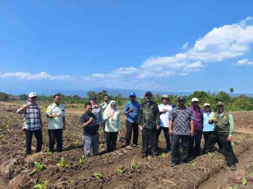 Kunjungan Studi Pemkab Tulungagung, Diperta Kabupaten Probolinggo Bagikan Praktik Baik Pemanfaatan DBHCHT Kunjungan Studi Pemkab Tulungagung, Diperta Kabupaten Probolinggo Bagikan Praktik Baik Pemanfaatan DBHCHT