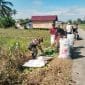 Panen Mentimun Bersama Babinsa, Petani Desa Taras Padang Semakin Termotivasi Panen Mentimun Bersama Babinsa, Petani Desa Taras Padang Semakin Termotivasi