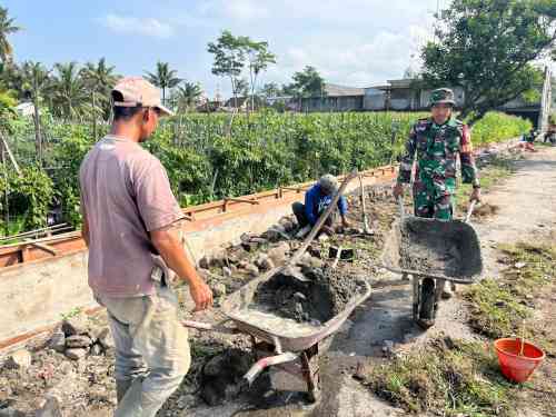 Sinergi TNI manungal Air, Babinsa Krisik Bersama Poktan Nuju Makmur 1 Bangun Jaringan Irigasi Tersier