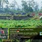 Diduga Tambang Ilegal Sedot Pasir di Lahan Sawah Blitar Terus Beroperasi, Aparat Dinilai Tutup Mata