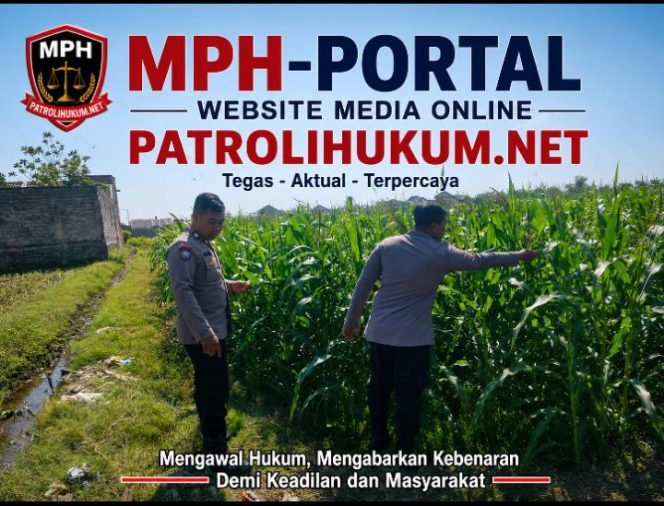 
Polsubsektor Kanigaran Dampingi Petani Jagung, Perkuat Ketahanan Pangan dan Jaga Kamtibmas