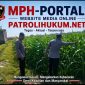 Polsubsektor Kanigaran Dampingi Petani Jagung, Perkuat Ketahanan Pangan dan Jaga Kamtibmas Polsubsektor Kanigaran Dampingi Petani Jagung, Perkuat Ketahanan Pangan dan Jaga Kamtibmas