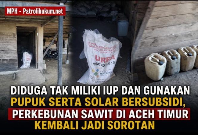 
Diduga Tak Miliki IUP dan Gunakan Pupuk serta Solar Bersubsidi, Perkebunan Sawit di Aceh Timur Kembali Jadi Sorotan