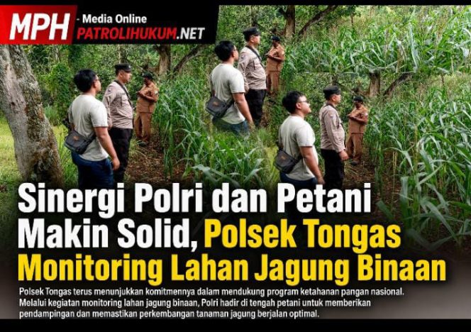 
Sinergi Polri dan Petani Makin Solid, Polsek Tongas Monitoring Lahan Jagung Binaan