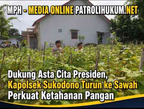 Dukung Asta Cita Presiden, Kapolsek Sukodono Turun ke Sawah Perkuat Ketahanan Pangan Dukung Asta Cita Presiden, Kapolsek Sukodono Turun ke Sawah Perkuat Ketahanan Pangan