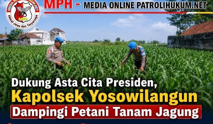Dukung Asta Cita Presiden, Kapolsek Yosowilangun Dampingi Petani Tanam Jagung