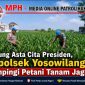 Dukung Asta Cita Presiden, Kapolsek Yosowilangun Dampingi Petani Tanam Jagung Dukung Asta Cita Presiden, Kapolsek Yosowilangun Dampingi Petani Tanam Jagung