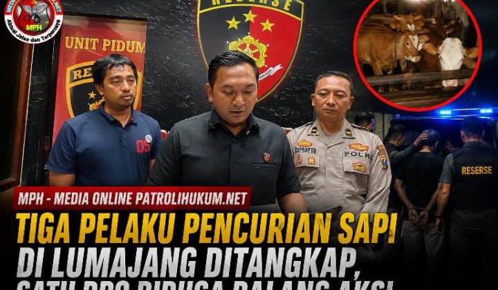 Tiga Pelaku Pencurian Sapi di Lumajang Ditangkap, Satu DPO Diduga Dalang Aksi