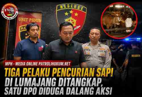 Tiga Pelaku Pencurian Sapi di Lumajang Ditangkap, Satu DPO Diduga Dalang Aksi Tiga Pelaku Pencurian Sapi di Lumajang Ditangkap, Satu DPO Diduga Dalang Aksi