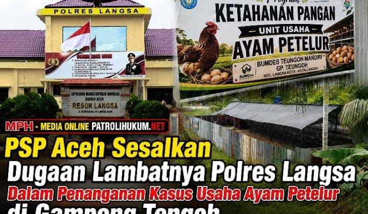 PSP Aceh Sesalkan Dugaan Lambatnya Polres Langsa Dalam Penanganan Kasus Usaha Ayam Petelur di Gampong Tengoh