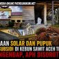 Sepekan Jadi Sorotan, Dugaan Penyalahgunaan Solar Subsidi di Kebun Sawit Belum Tersentuh Sepekan Jadi Sorotan, Dugaan Penyalahgunaan Solar Subsidi di Kebun Sawit Belum Tersentuh