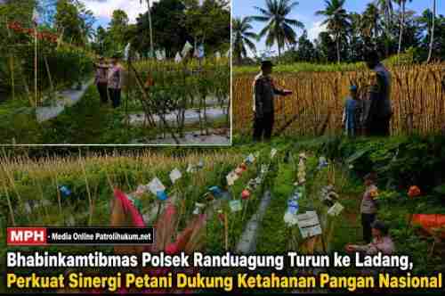 Bhabinkamtibmas Polsek Randuagung Turun ke Ladang, Perkuat Sinergi Petani Dukung Ketahanan Pangan Nasional