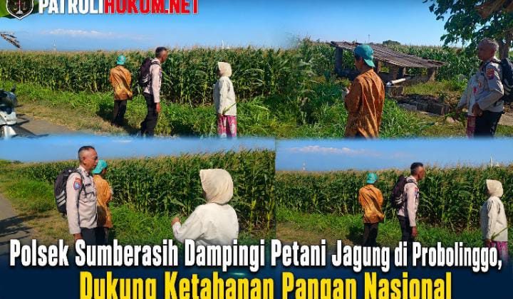 Polsek Sumberasih Dampingi Petani Jagung di Probolinggo, Dukung Ketahanan Pangan Nasional
