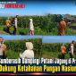 Polsek Sumberasih Dampingi Petani Jagung di Probolinggo, Dukung Ketahanan Pangan Nasional Polsek Sumberasih Dampingi Petani Jagung di Probolinggo, Dukung Ketahanan Pangan Nasional