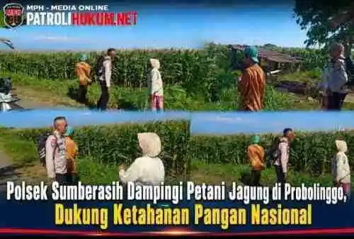 IMG-20260712-WA0148