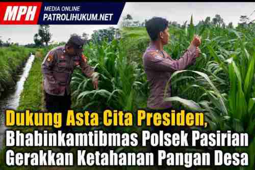 Dukung Asta Cita Presiden, Bhabinkamtibmas Polsek Pasirian Gerakkan Ketahanan Pangan Desa Dukung Asta Cita Presiden, Bhabinkamtibmas Polsek Pasirian Gerakkan Ketahanan Pangan Desa
