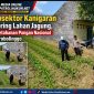 Polsubsektor Kanigaran Monitoring Lahan Jagung, Dukung Ketahanan Pangan Nasional di Kota Probolinggo
