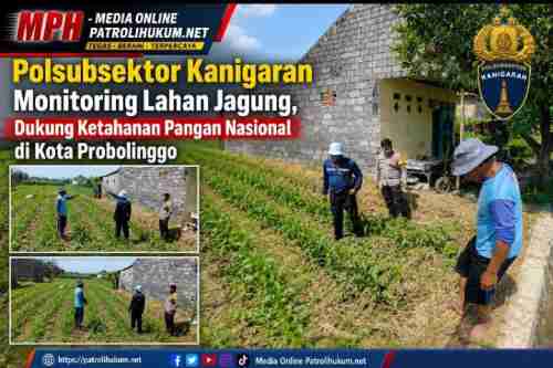 Polsubsektor Kanigaran Monitoring Lahan Jagung, Dukung Ketahanan Pangan Nasional di Kota Probolinggo