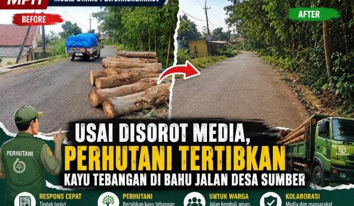 Usai Disorot Media, Perhutani Tertibkan Kayu Tebangan di Bahu Jalan Desa Sumber
