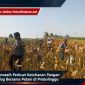 Polsek Wonoasih Perkuat Ketahanan Pangan Lewat Dialog Bersama Petani di Probolinggo Polsek Wonoasih Perkuat Ketahanan Pangan Lewat Dialog Bersama Petani di Probolinggo