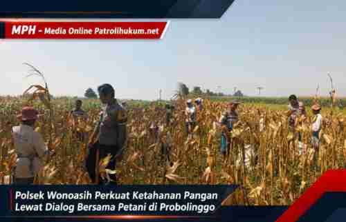 Polsek Wonoasih Perkuat Ketahanan Pangan Lewat Dialog Bersama Petani di Probolinggo Polsek Wonoasih Perkuat Ketahanan Pangan Lewat Dialog Bersama Petani di Probolinggo