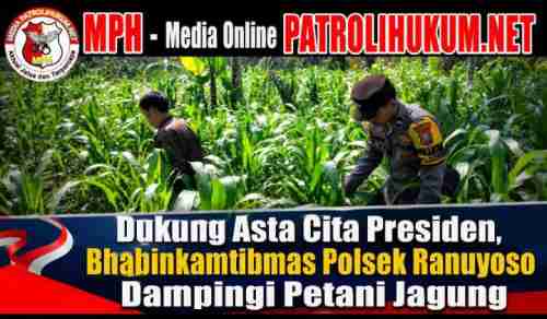 Dukung Asta Cita Presiden, Bhabinkamtibmas Polsek Ranuyoso Dampingi Petani Jagung